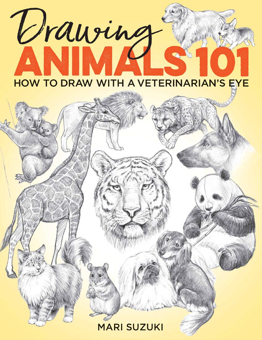 Drawing Animals 101: How To Draw With A VeterinarianS Eye