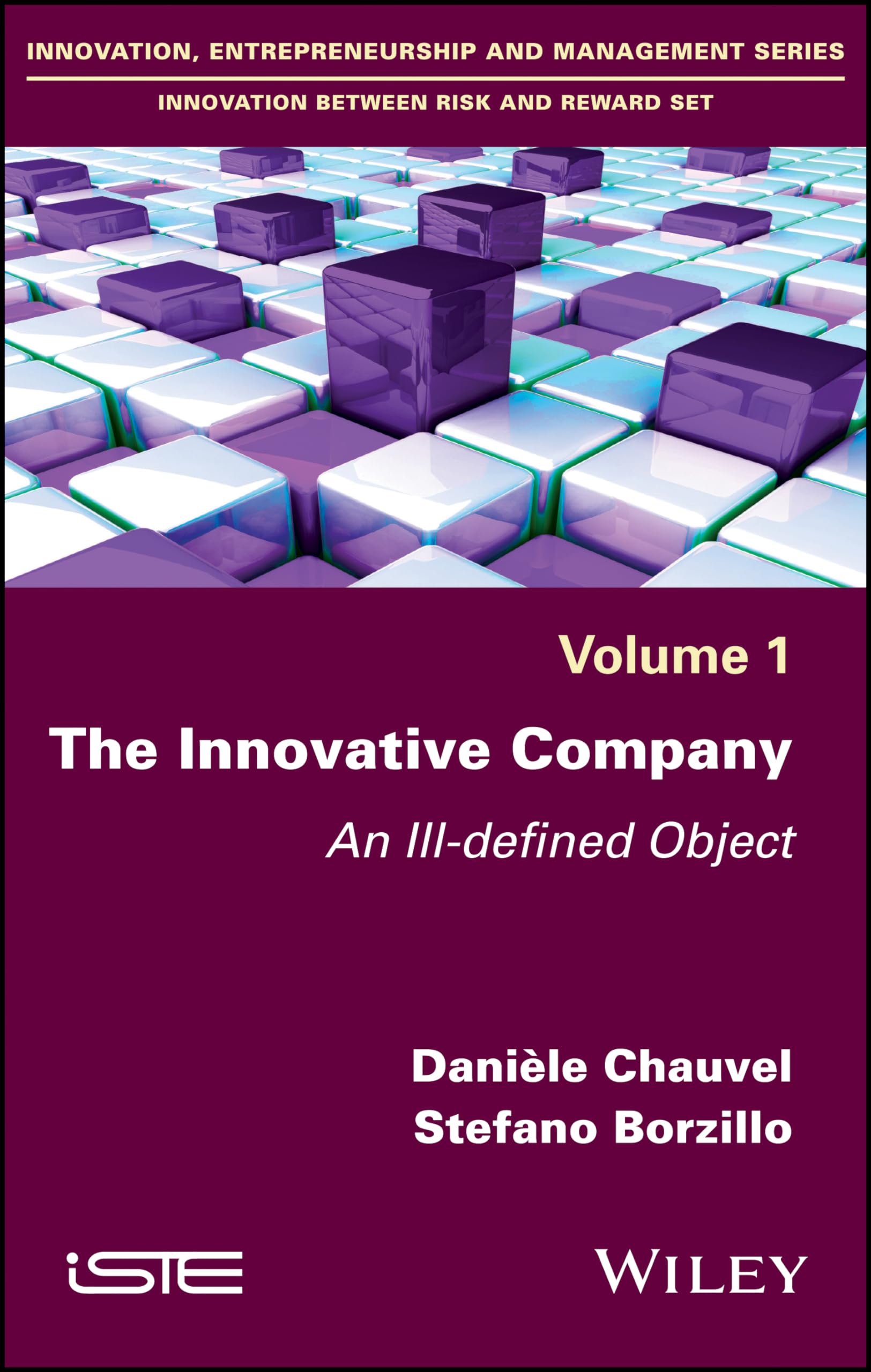The Innovative Company: An IllDefined Object (Innovation, Entrepreneurship and Management: Innovation Between Risk and Reward S