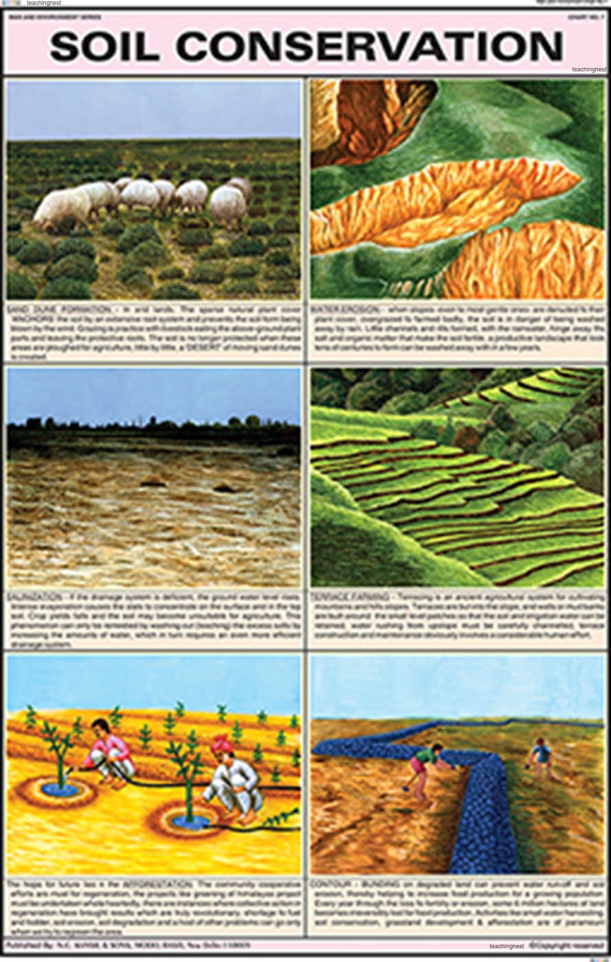 Me07 | Soil Conservation Chart (50X75Cm) [Wall Chart]