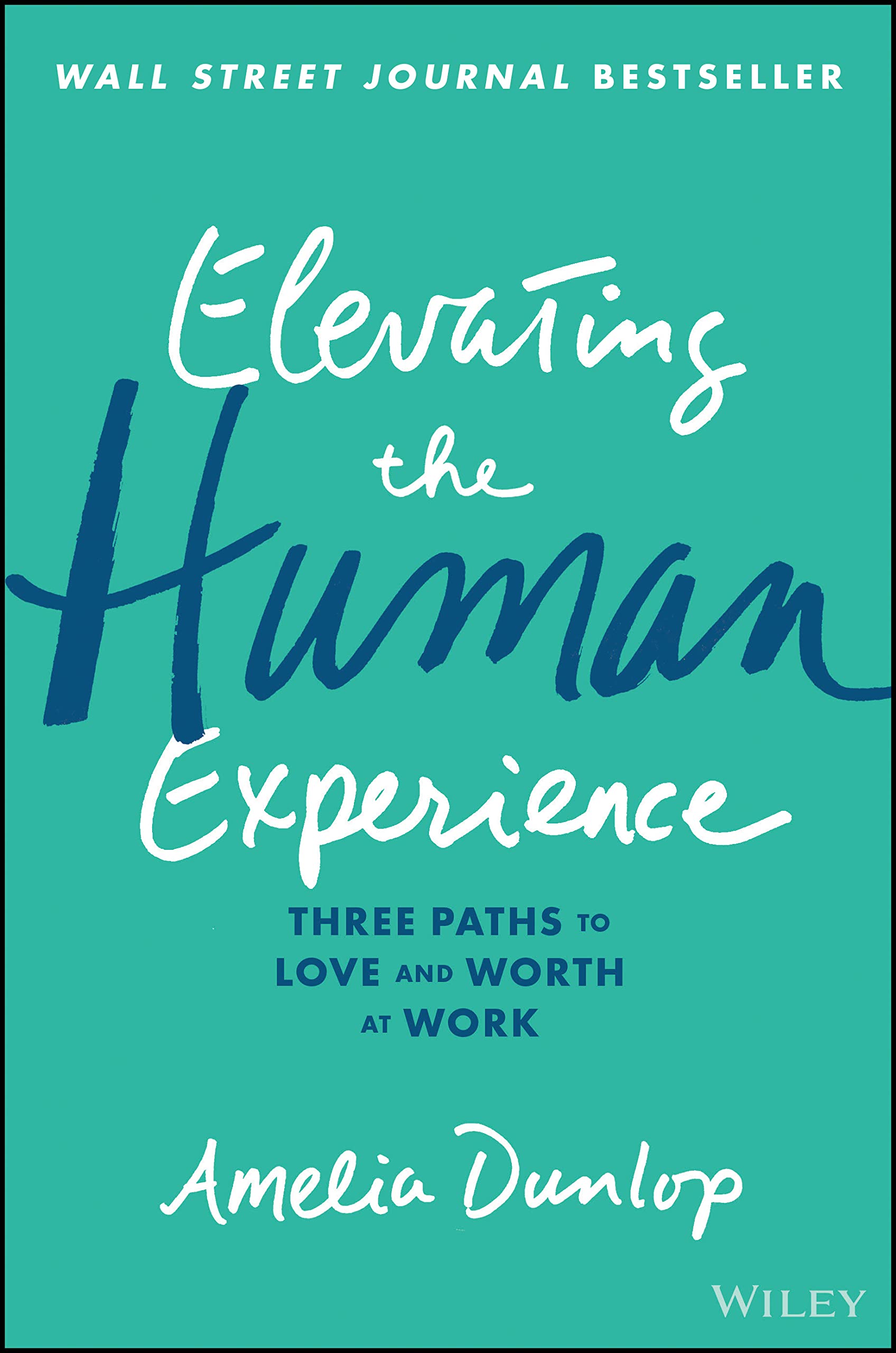 Elevating the Human Experience: Three Paths to Love and Worth at Work