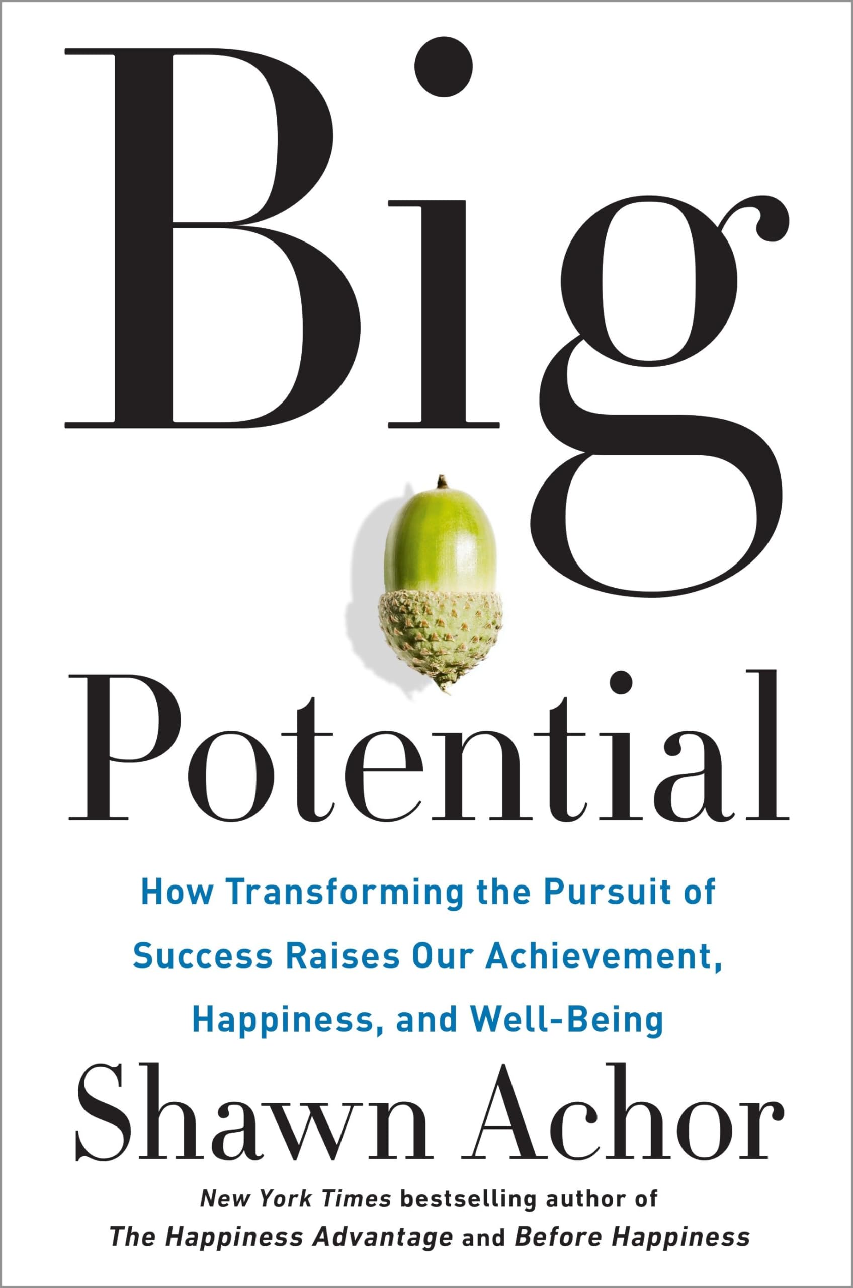 Big Potential: How Transforming the Pursuit of Success Raises Our Achievement, Happiness, and WellBeing