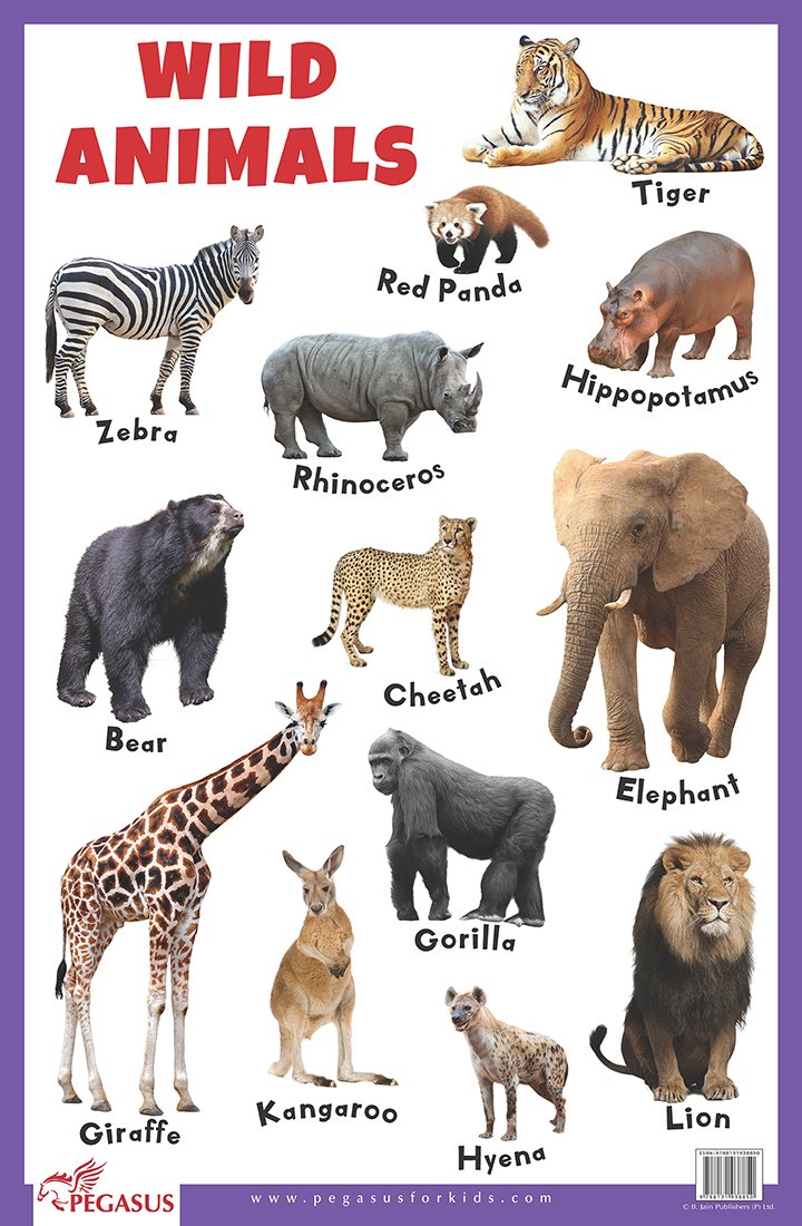 Wild Animals  Thick Laminated Primary Chart