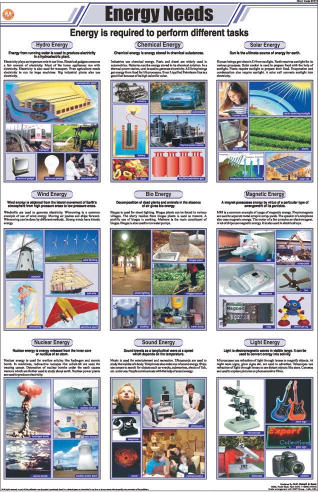 Stg12 | Teachingnest | Energy Needs Chart (58X90 Cm) | English | General Science Charts | With Rollers [Wall Chart] General Scie
