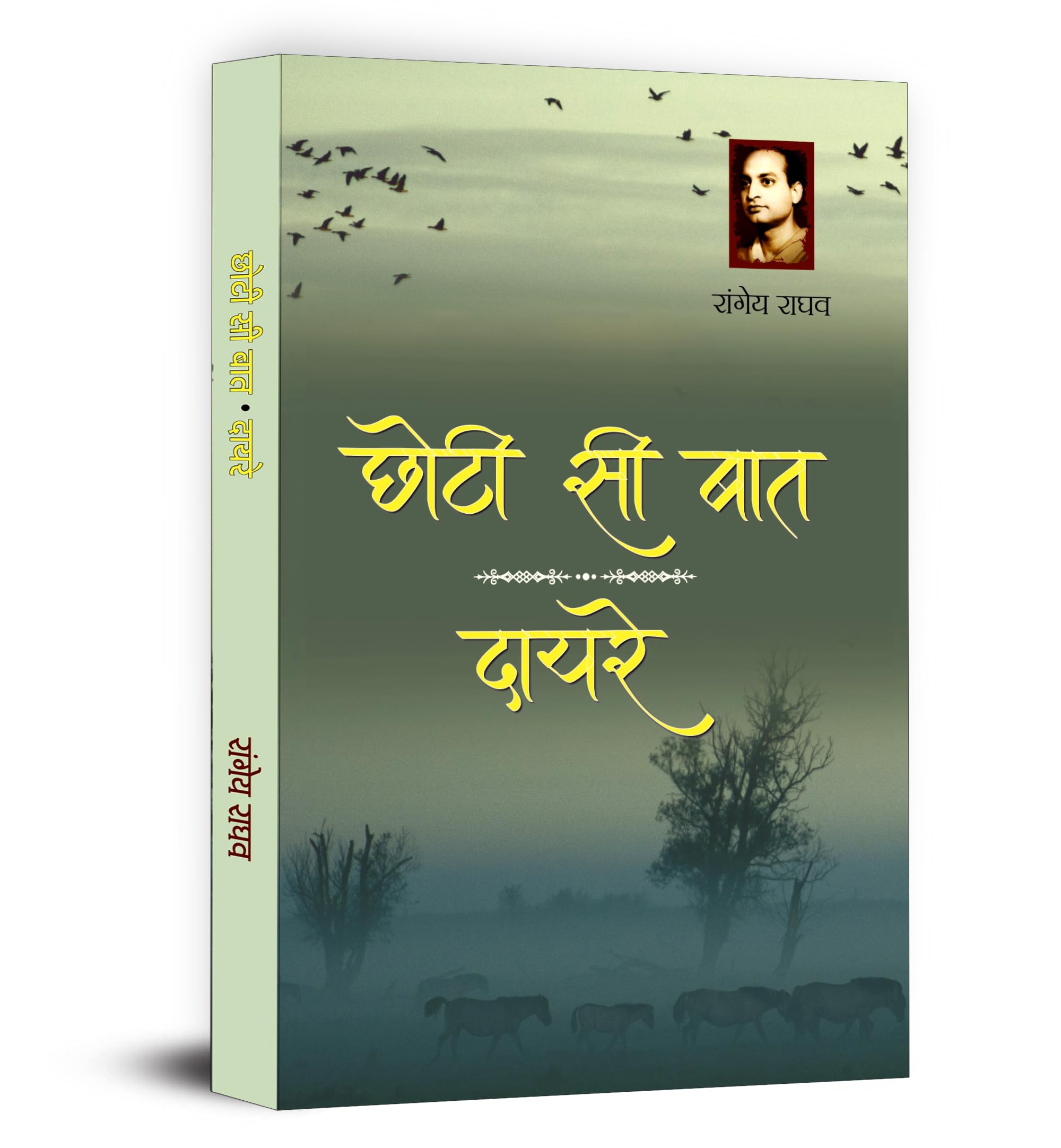Chhoti Si Baat | Dayre by Rangeya Ragahv | A ThoughtProvoking Hindi Novel on Human Emotions, Society and Personal Struggles | P