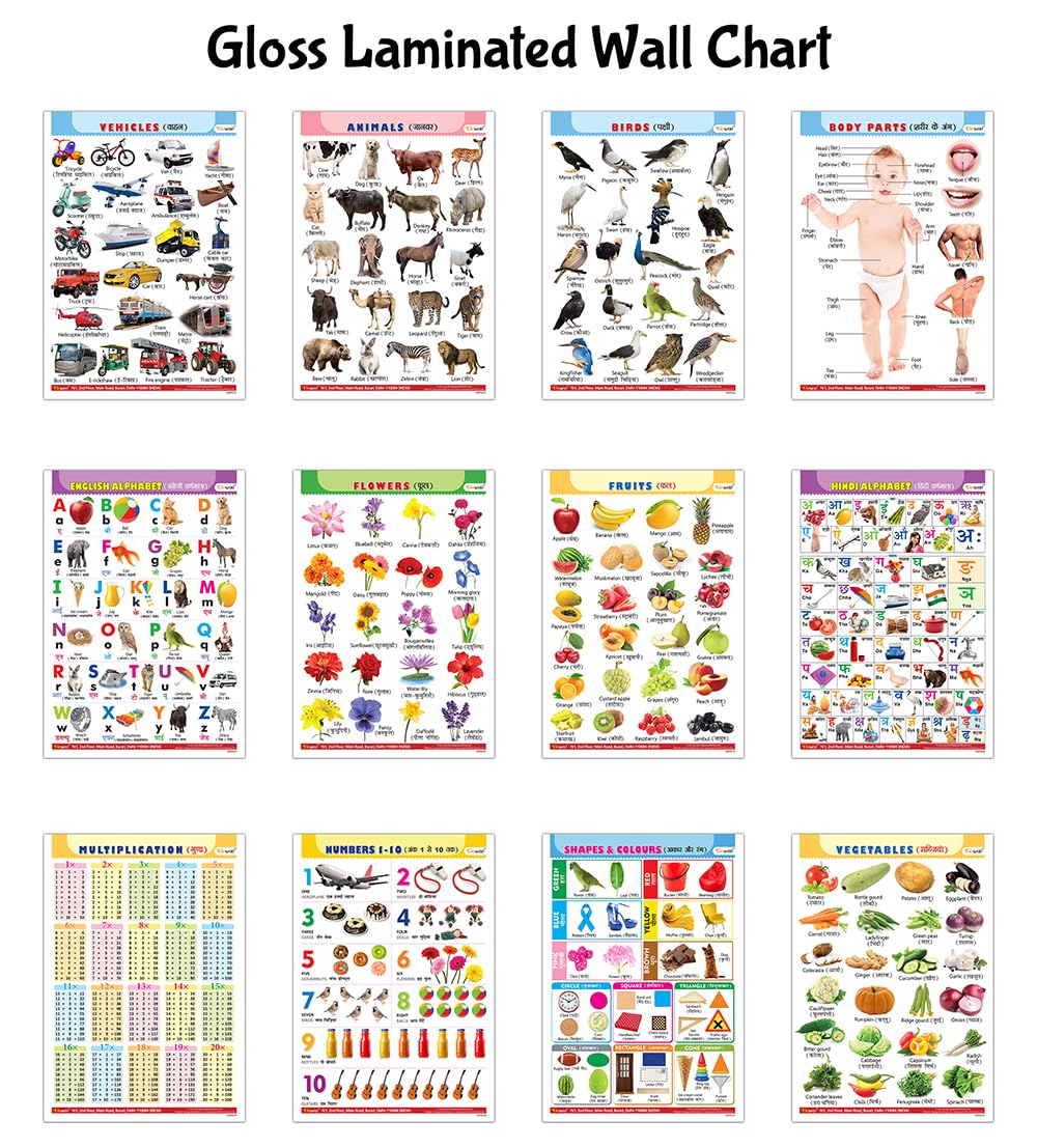 Pack of 12 Gloss Lamination charts:Alphabet, Fruits, Vegetables, Animals, Birds, Body Parts, Numbers, Multiplication, Hindi Varn