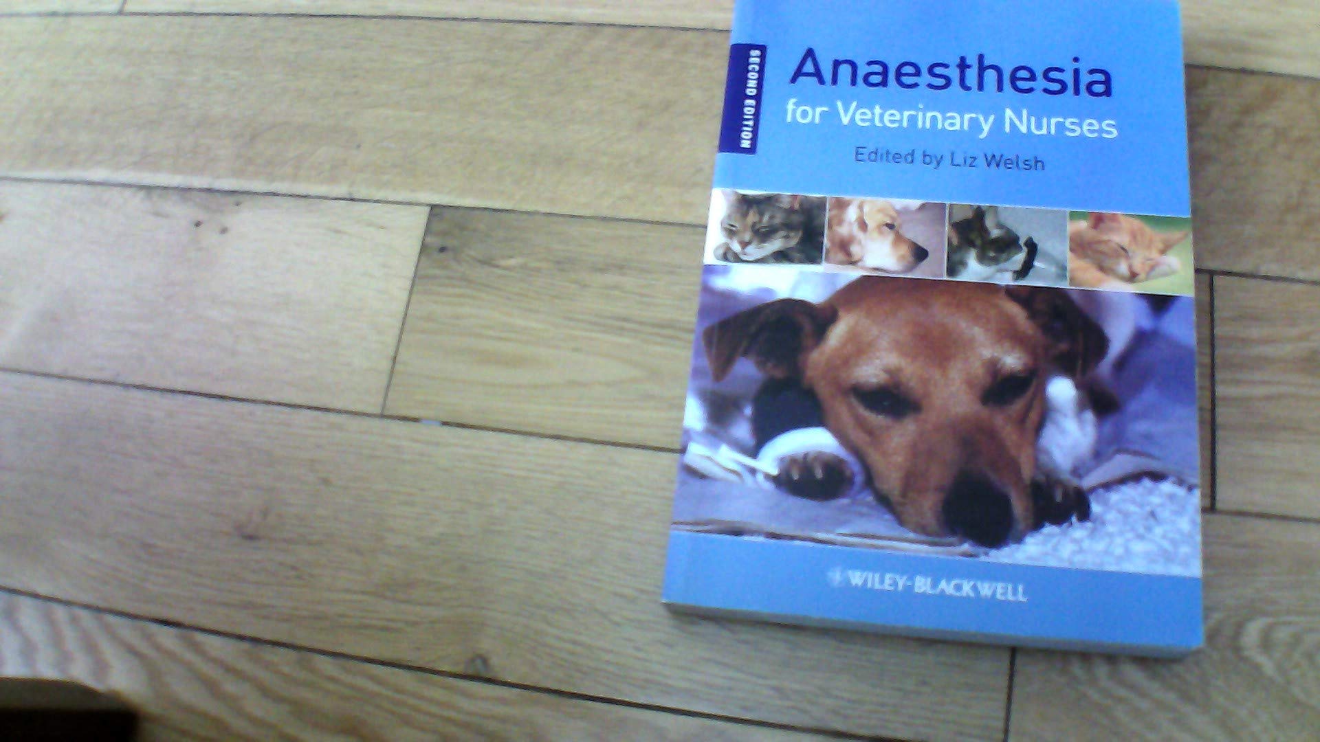 ANAESTHESIA FOR VETERINARY NURSES 2E (PB 2009)