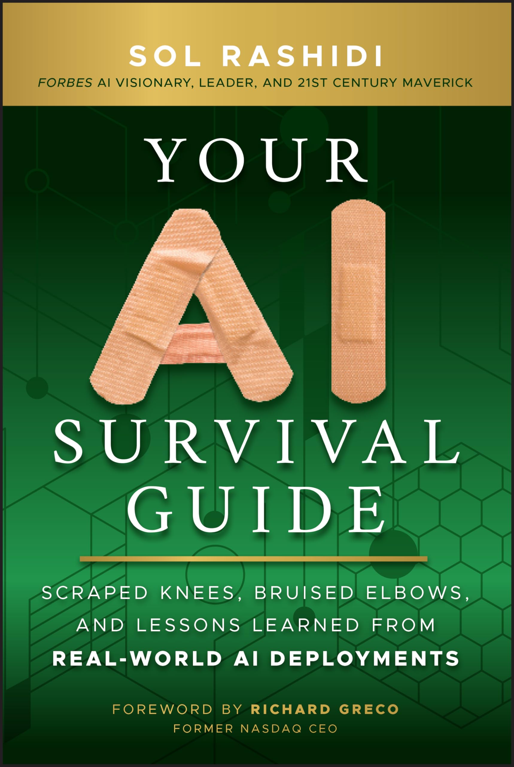 Your AI Survival Guide: Scraped Knees, Bruised Elbows, and Lessons Learned from RealWorld AI Deployments