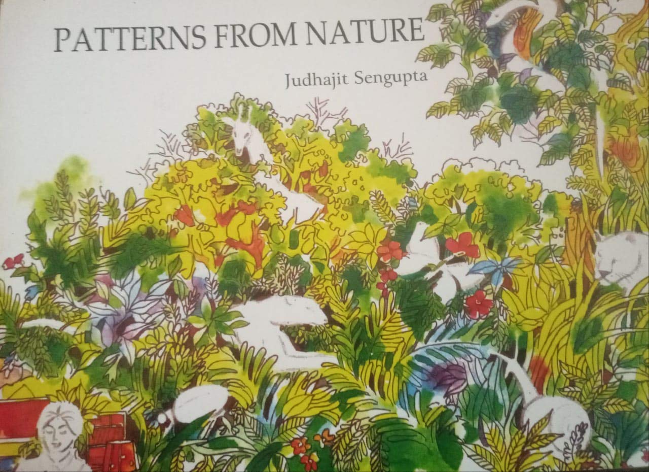 Patterns From Nature