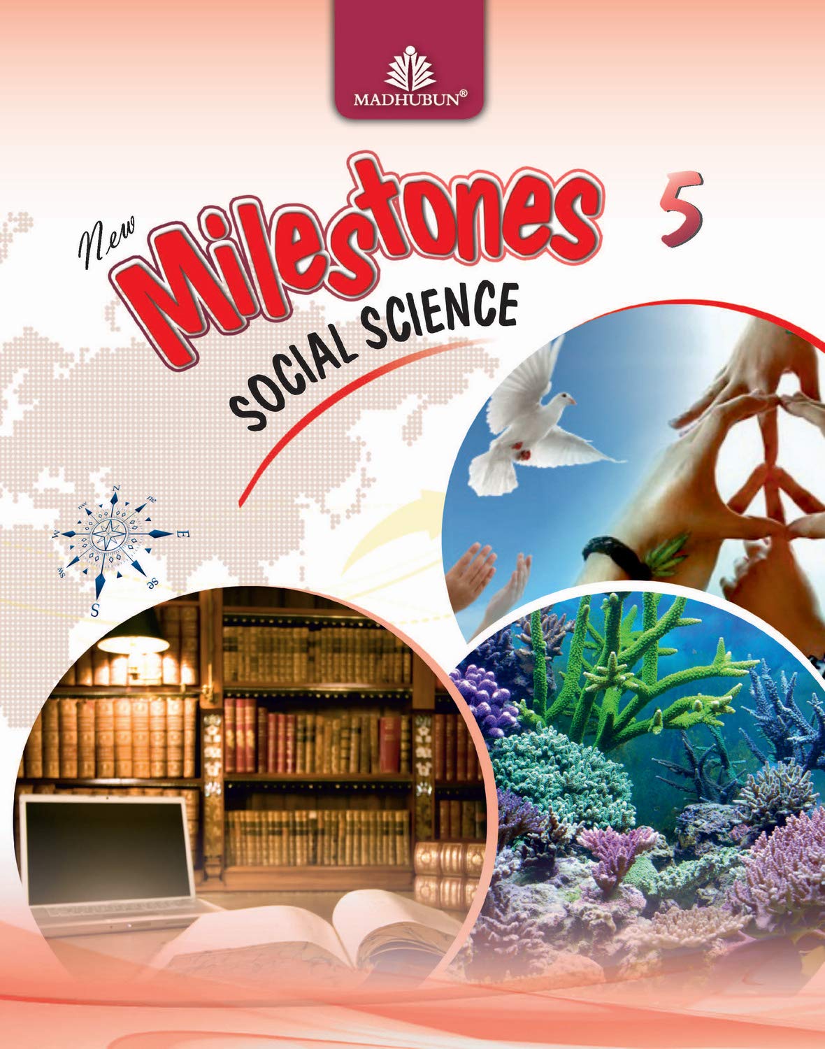 New Milestonessocial Sciencebook52017