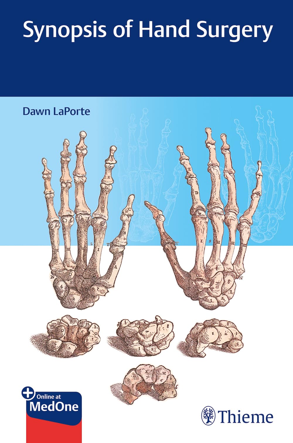 SYNOPSIS OF HAND SURGERY (PB 2021)
