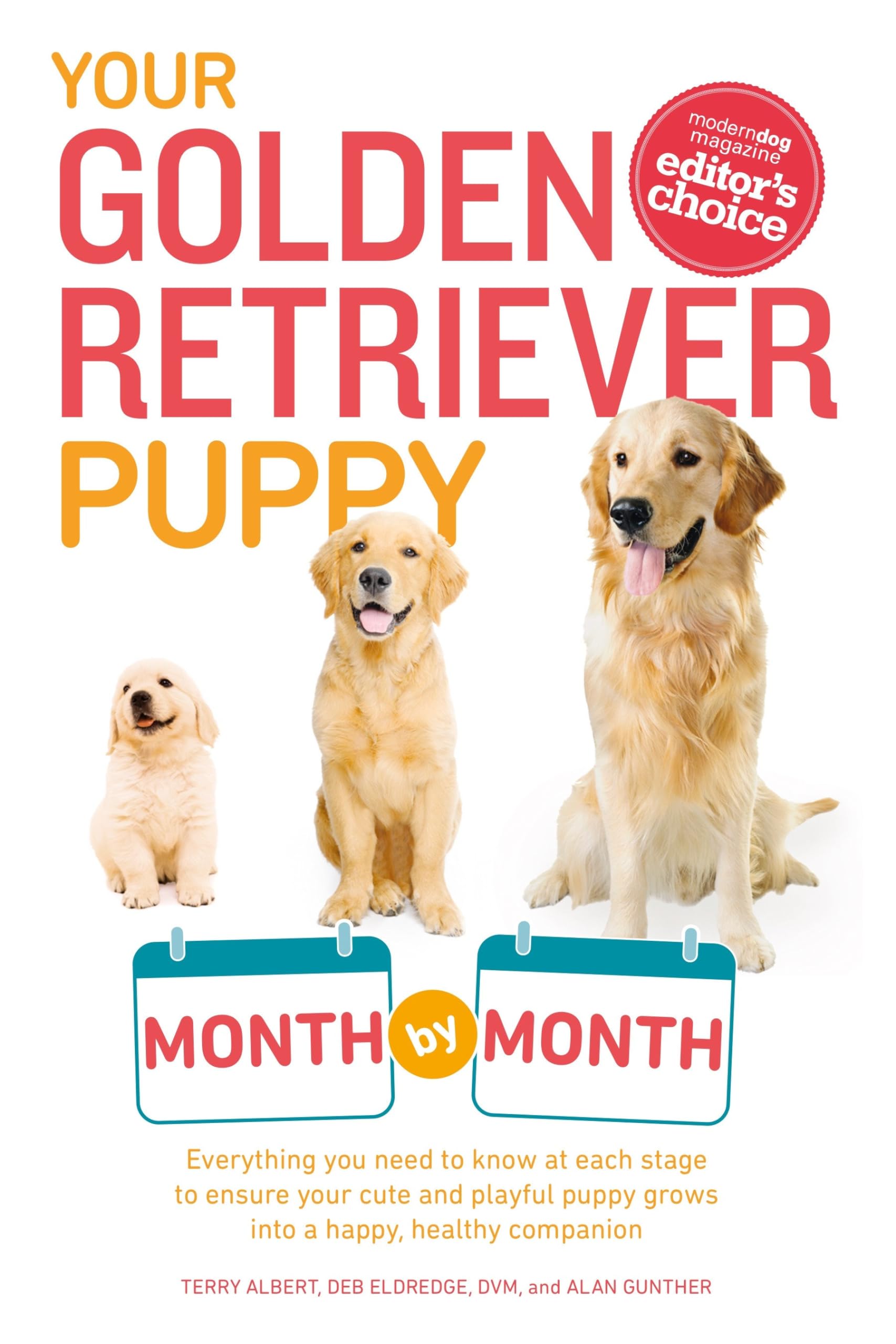 Your Golden Retriever Puppy Month by Month: Everything You Need to Know at Each Stage to Ensure Your Cute and Playful Puppy (You