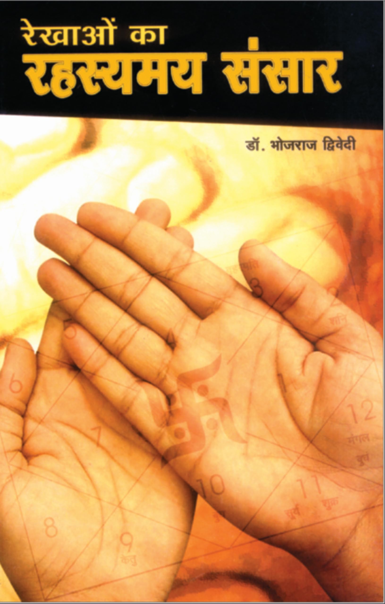 Rekhaon Ka Rahasyamay Sansar (?????? ?? ??????? ?????) (Hindi Edition)