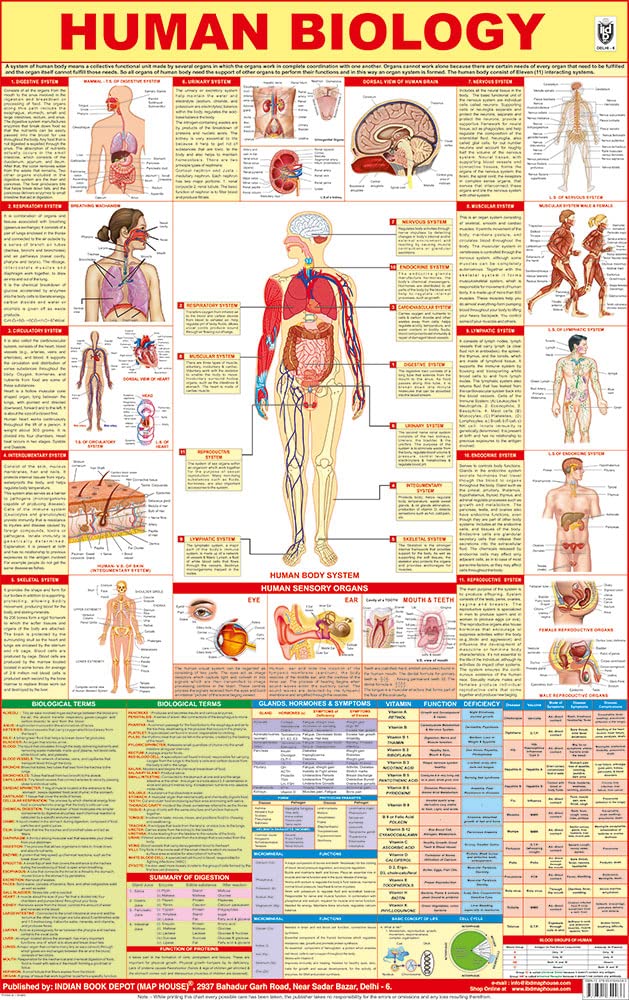 All In One Human Biology Chart | Laminated | Useful In School, Classroom, Home Learning And For Exam Preparation Such As Neet | 