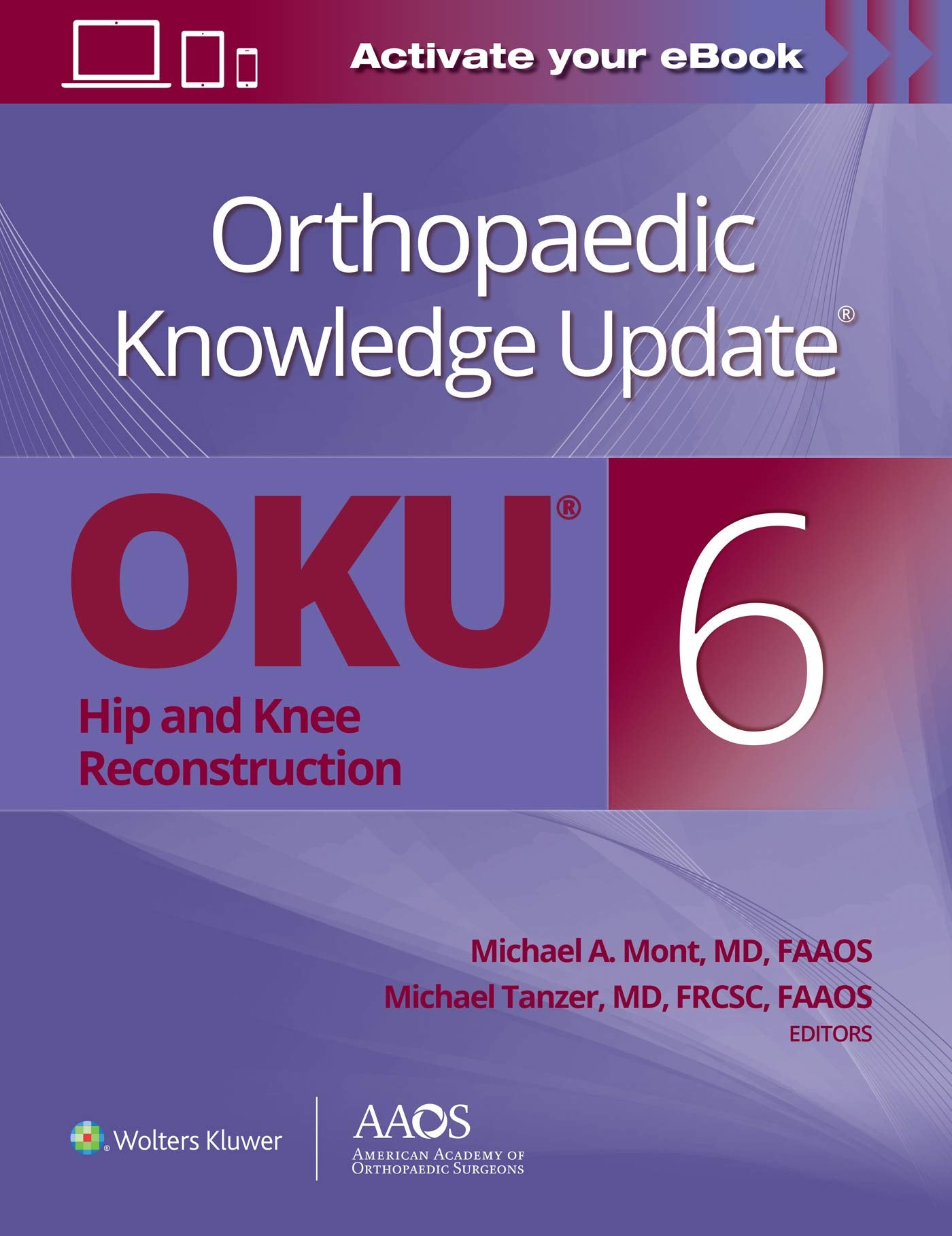 Orthopaedic Knowledge Update: Hip and Knee Reconstruction 6 Print + Ebook