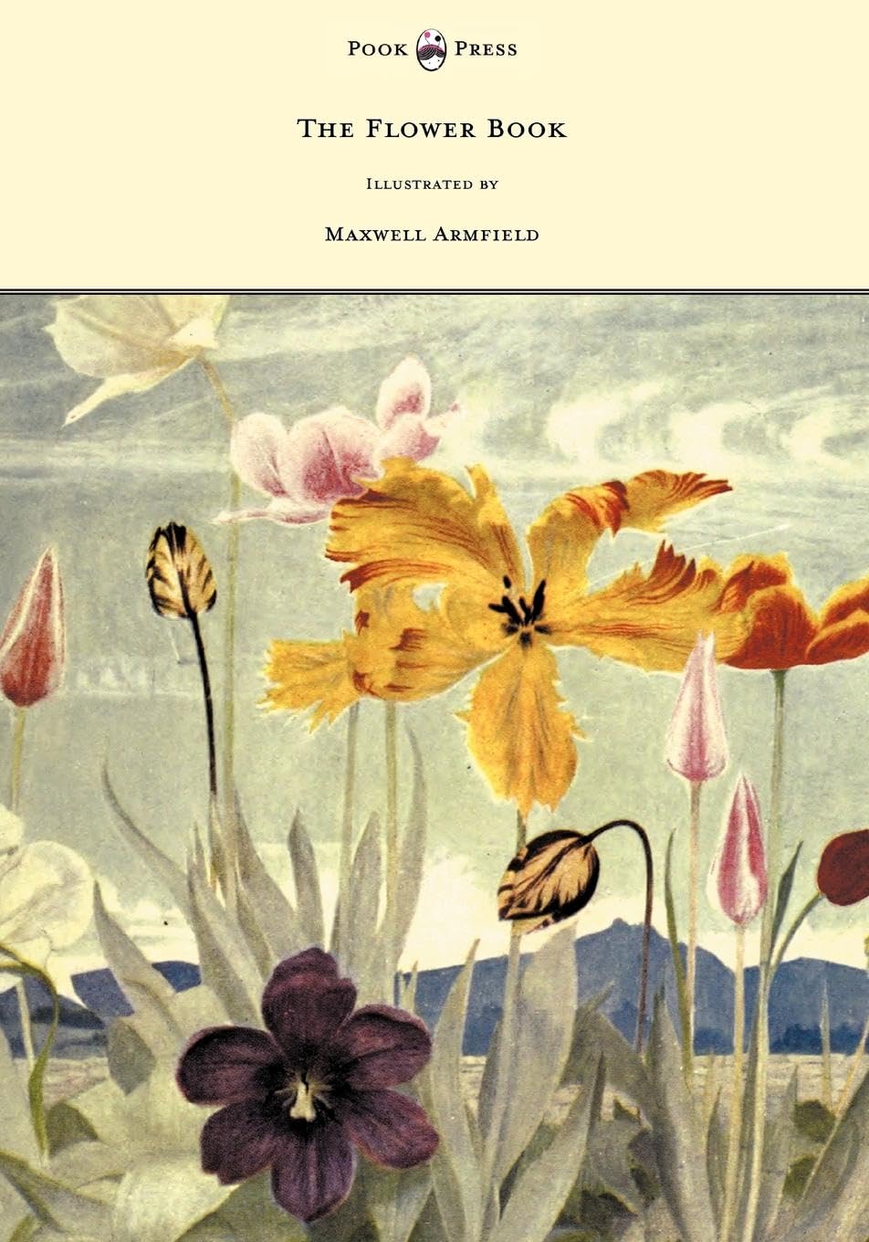 The Flower Book  Illustrated by Maxwell Armfield
