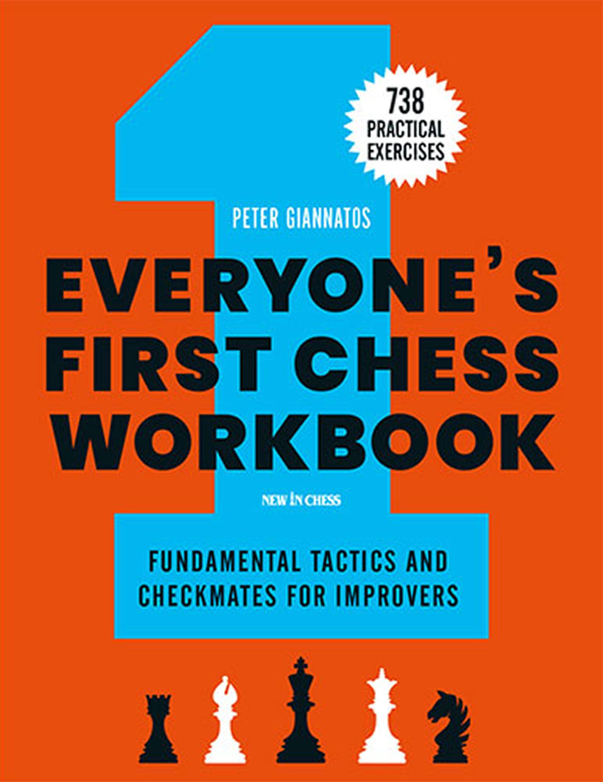 Everyones First Chess Workbook: Fundamental Tactics and Checkmates for Improvers  738 Practical Exercises