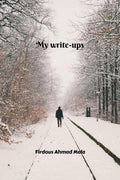 My writeups