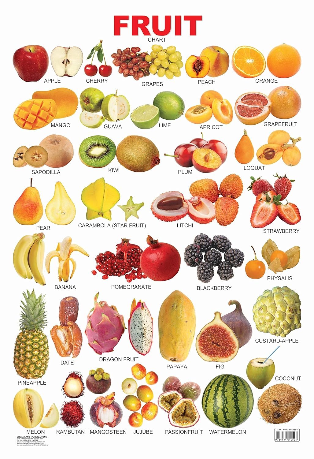 Fruits (AllinOne) Educational Wall Chart for Kids Ages 25  48 x 73 cm, Colourful Laminated Learning Chart with Names of Frui