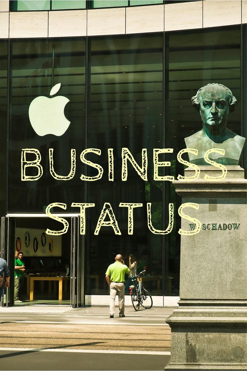 BUSINESS STATUS : MONEYMAKING MACHINE