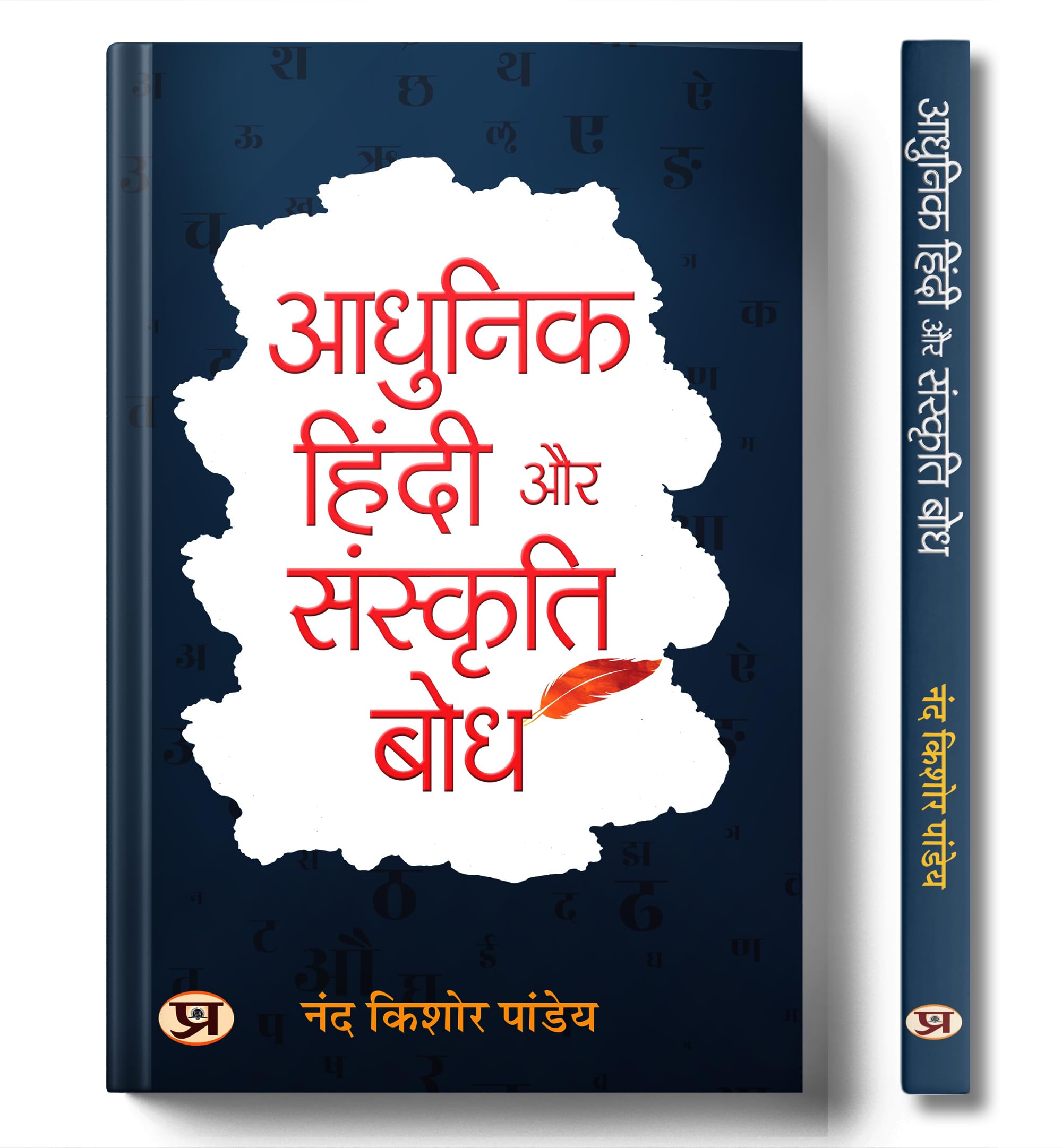 Adhunik Hindi Aur Sanskriti Bodh (An Indepth History of Hindi Language and Literature) | Essential Guide for Hindi Literature E