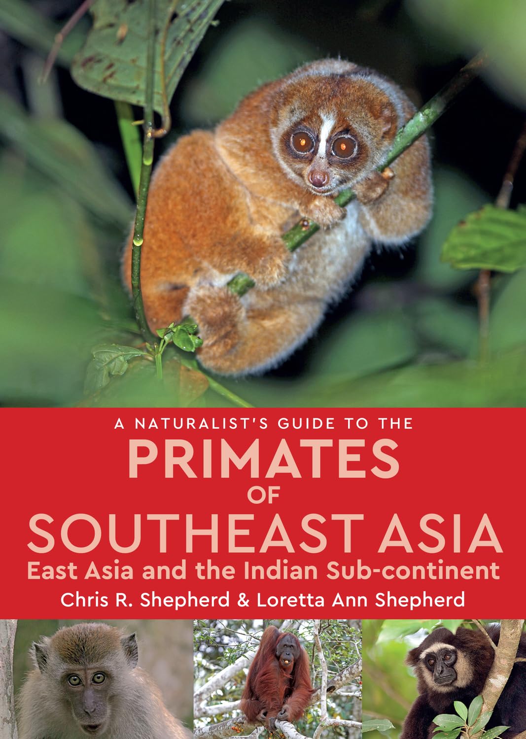 A Naturalists Guide to the Primates of Southeast Asia: East Asia and the Indian Subcontinent