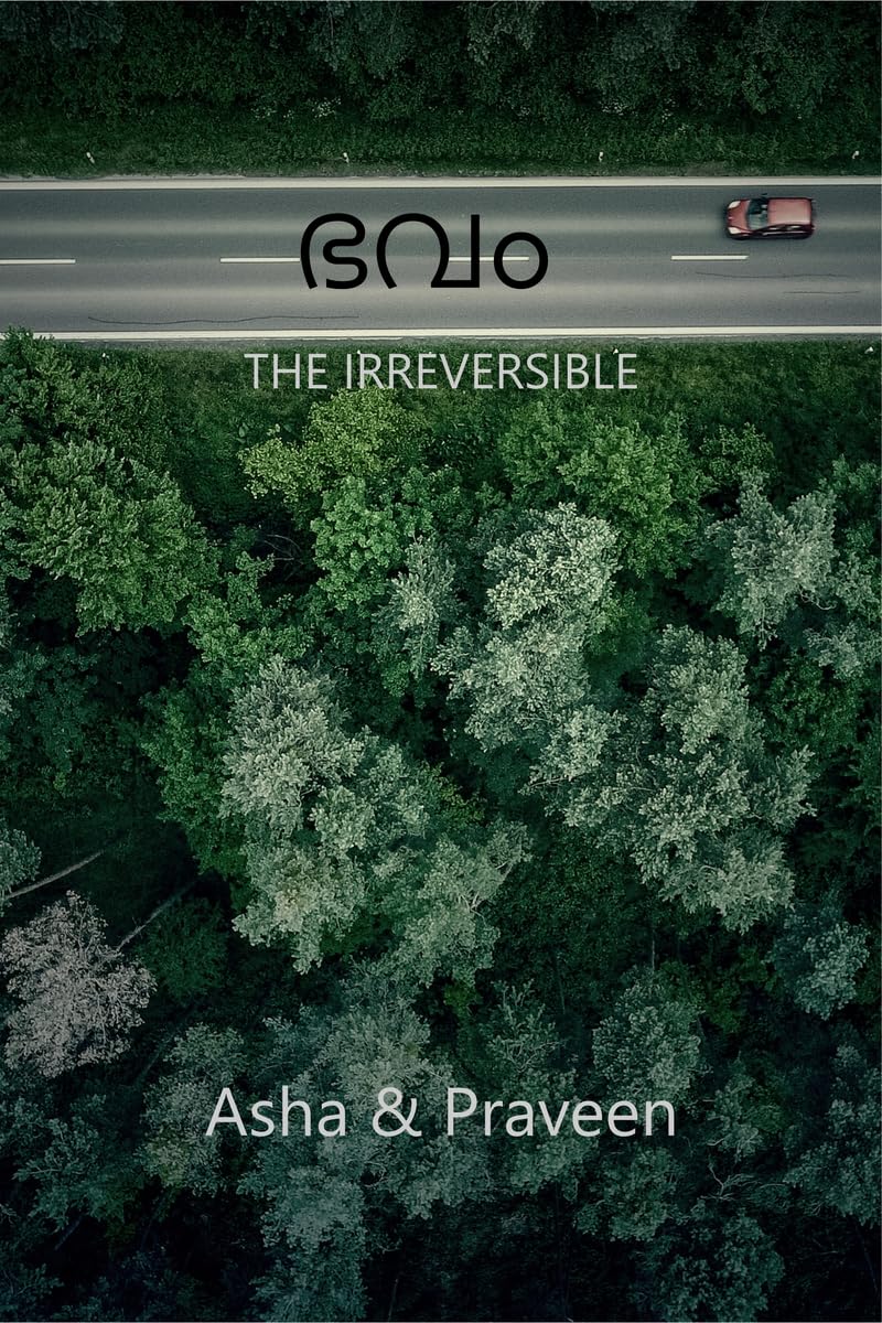 BHAVAM / : THE IRREVERSIBLE