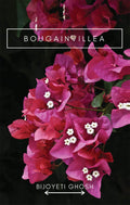 Bougainvillea: Some Scribbled Scattered Thoughts