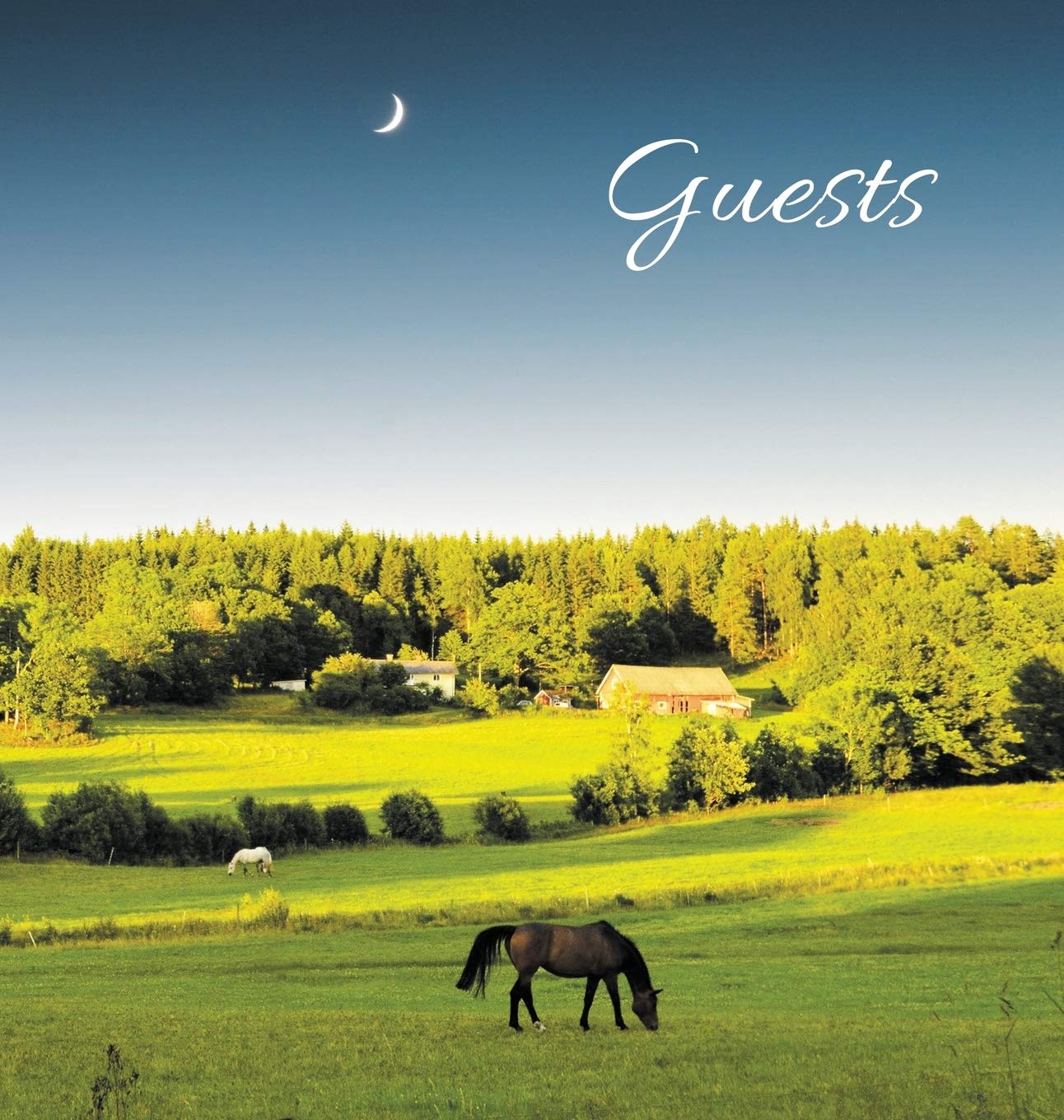 GUEST BOOK for Guest House, Airbnb, Bed & Breakfast, Vacation Home, Retreat Centre: HARDCOVER Visitors Book, Guest Comments Book