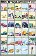 Cc10 | Teachingnest | Means Of Transport Chart (50X75Cm) | Charts For Children | With Rollers | English  Hindi Combined [Wall C