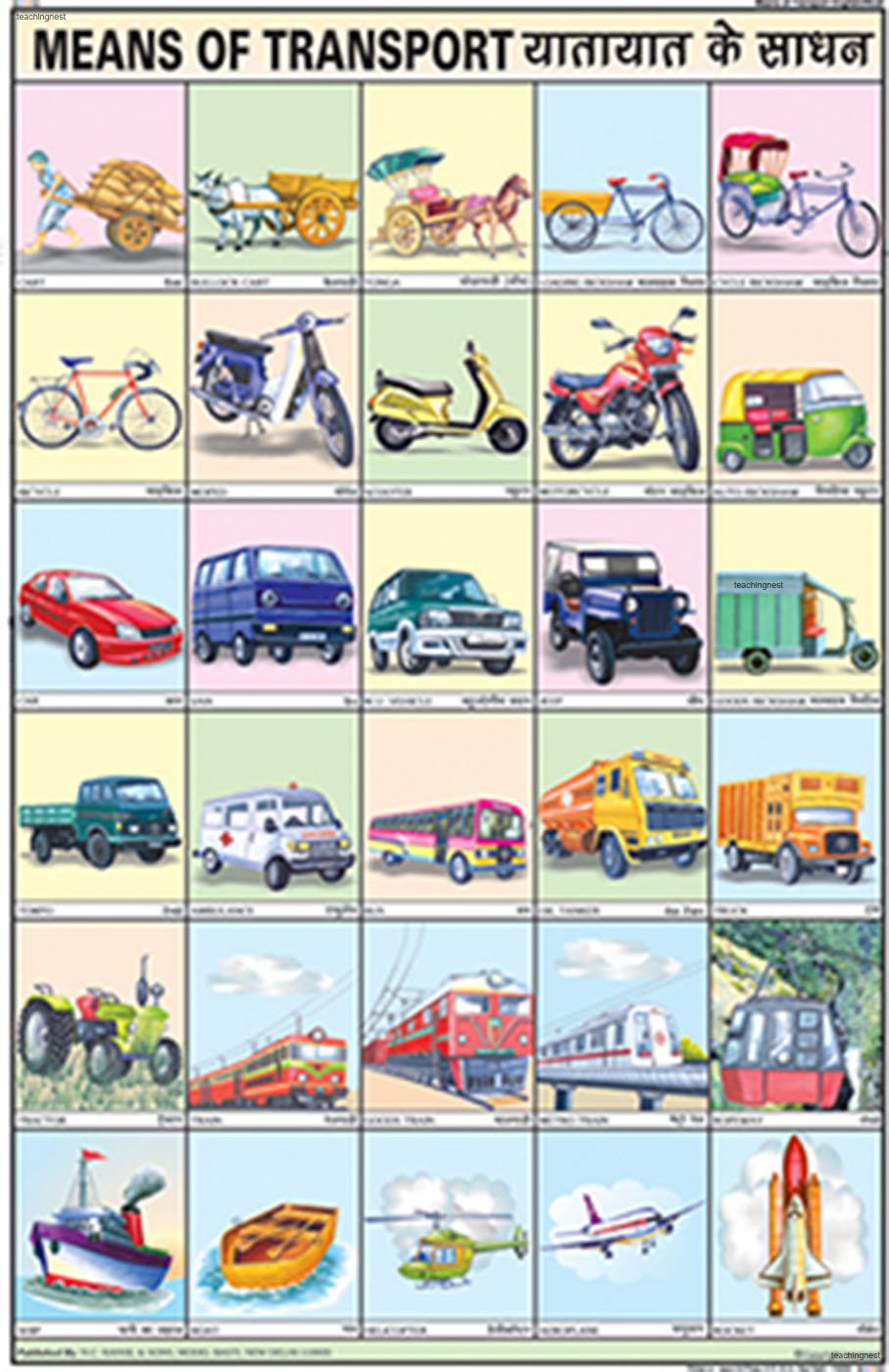 Cc10 | Teachingnest | Means Of Transport Chart (50X75Cm) | Charts For Children | With Rollers | English  Hindi Combined [Wall C