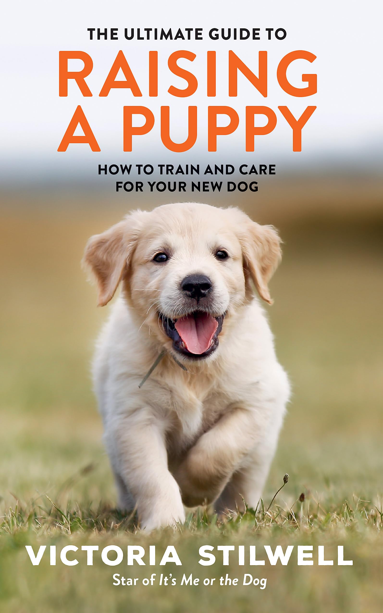 THE ULTIMATE GUIDE TO RAISING A PUPPY