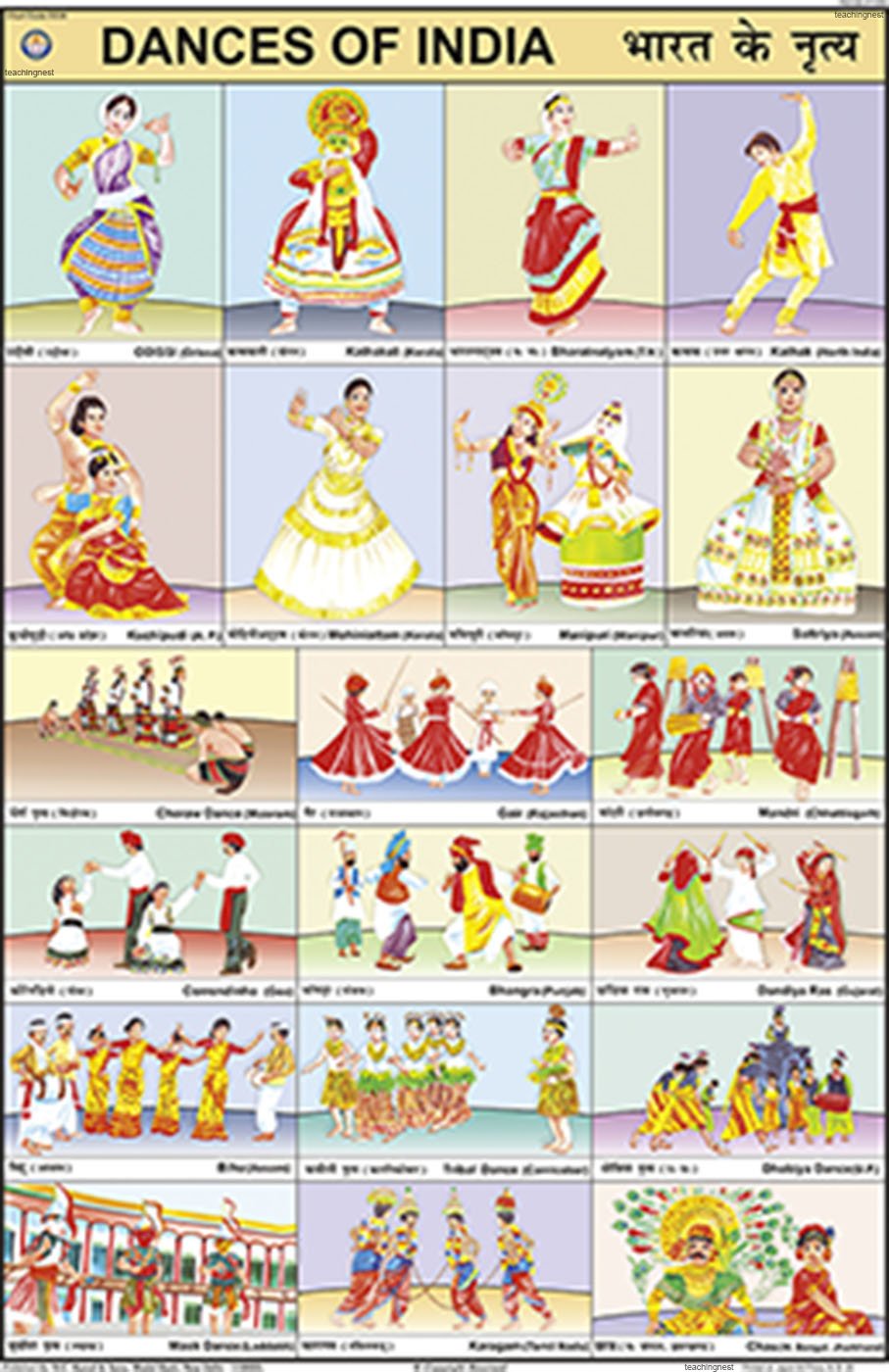 Cc20 | Teachingnest | Dances Of India Chart (50X75Cm) | Charts For Children | With Rollers | English  Hindi Combined [Wall Char