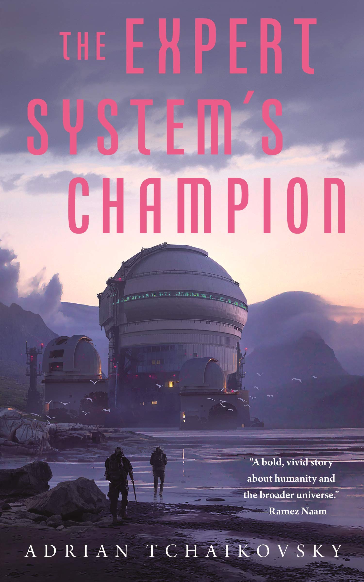 Expert Systems Champion (The Expert Systems Brother, 2)