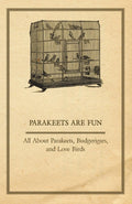 Parakeets are Fun  All About Parakeets, Budgerigars, and Love Birds
