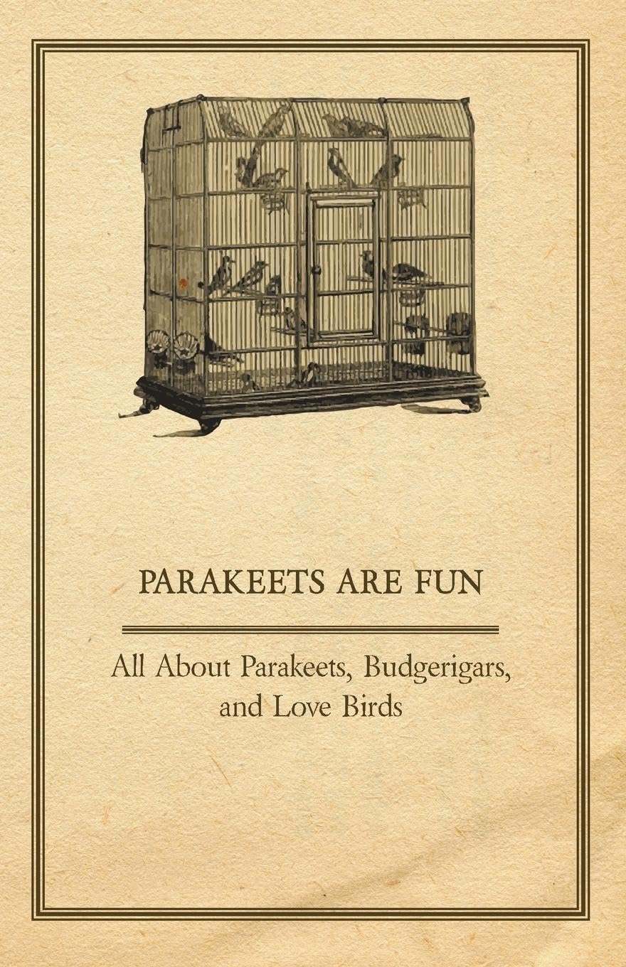 Parakeets are Fun  All About Parakeets, Budgerigars, and Love Birds