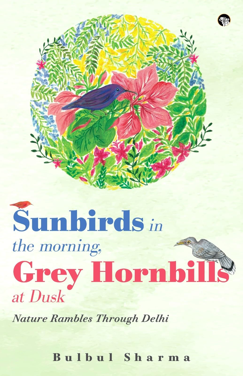 Sunbirds in The Morning, Grey Hornbills at Dusk