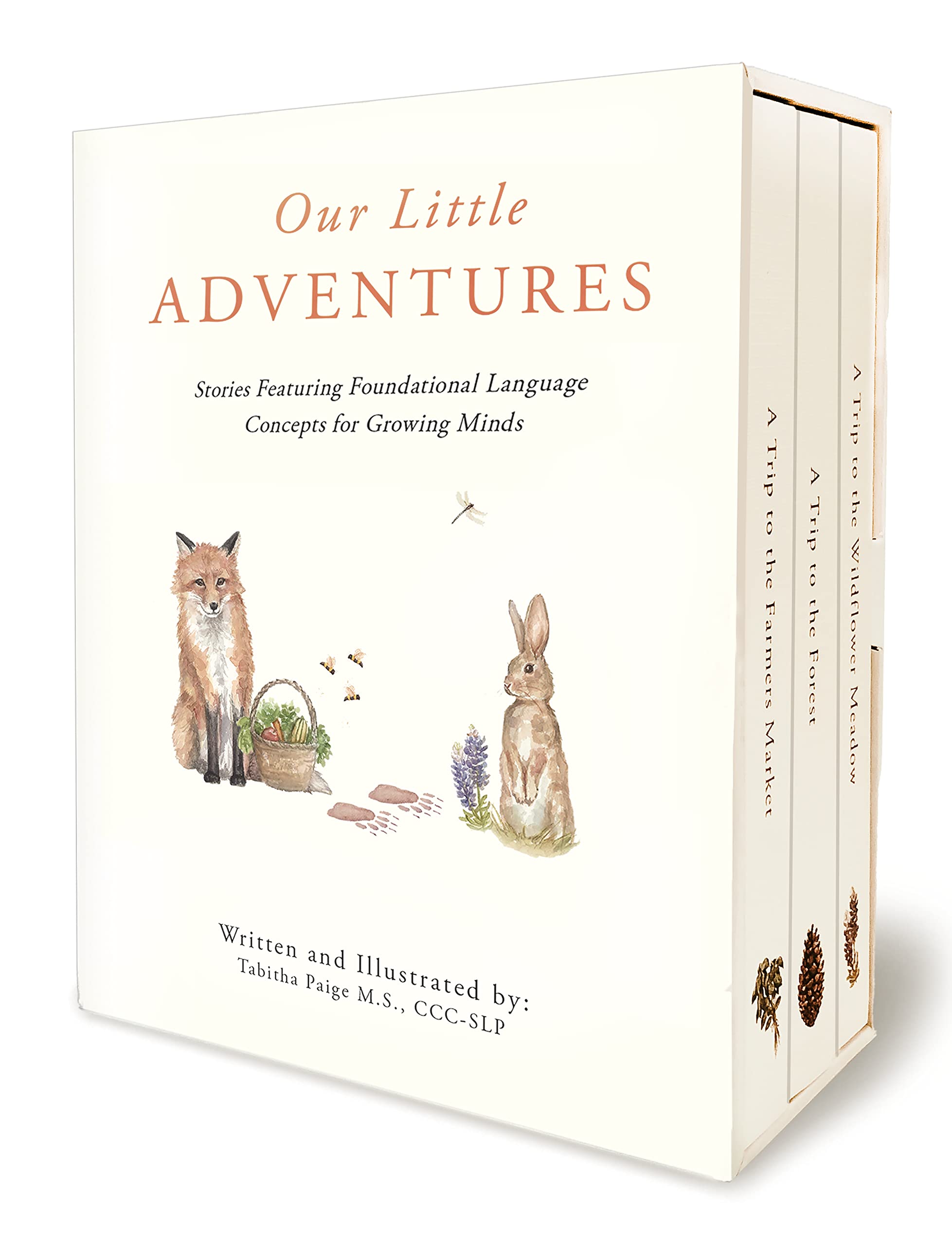 Our Little Adventures: Stories Featuring Foundational Language Concepts for Growing Minds (Tabitha Paige Childrens Book Series)