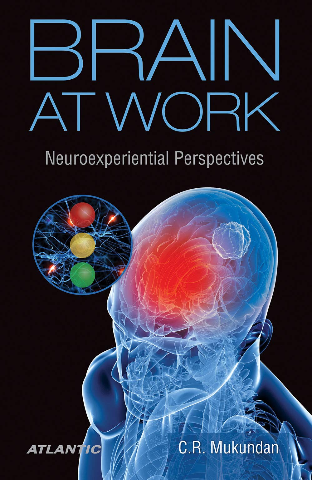 Brain at Work: Neuroexperiential Perspectives