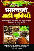 CHAMATKARI JADI BUTIYAN /   