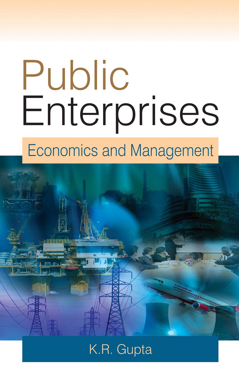 Public Enterprises: Economics and Management: Vol. 2