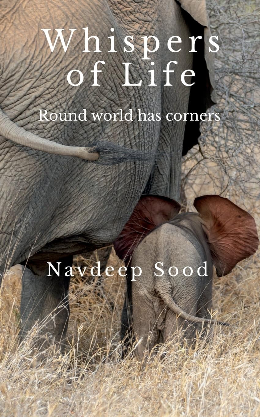 Whispers of Life: Corners of Round World