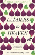 Ladders To Heaven