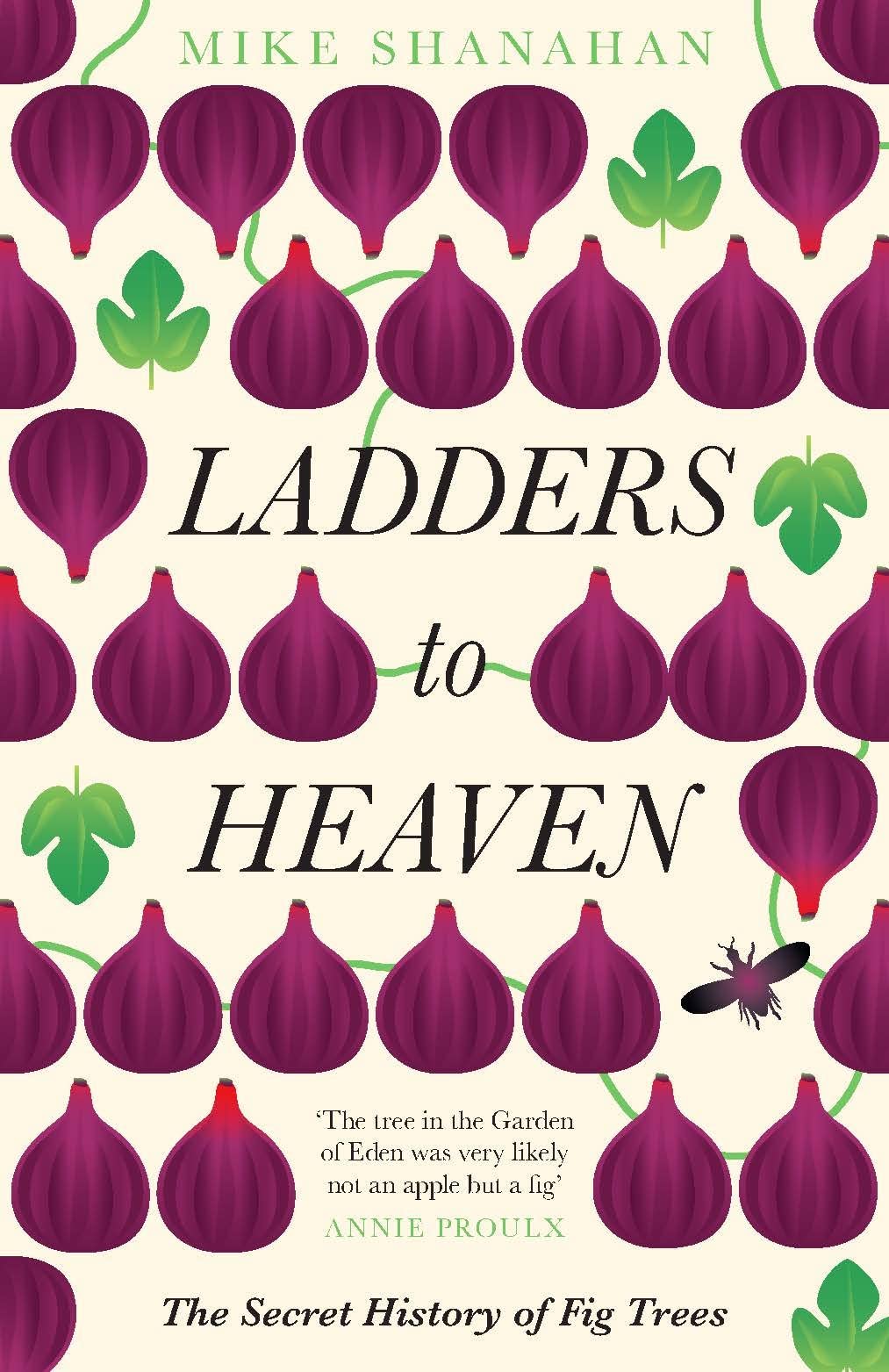 Ladders To Heaven