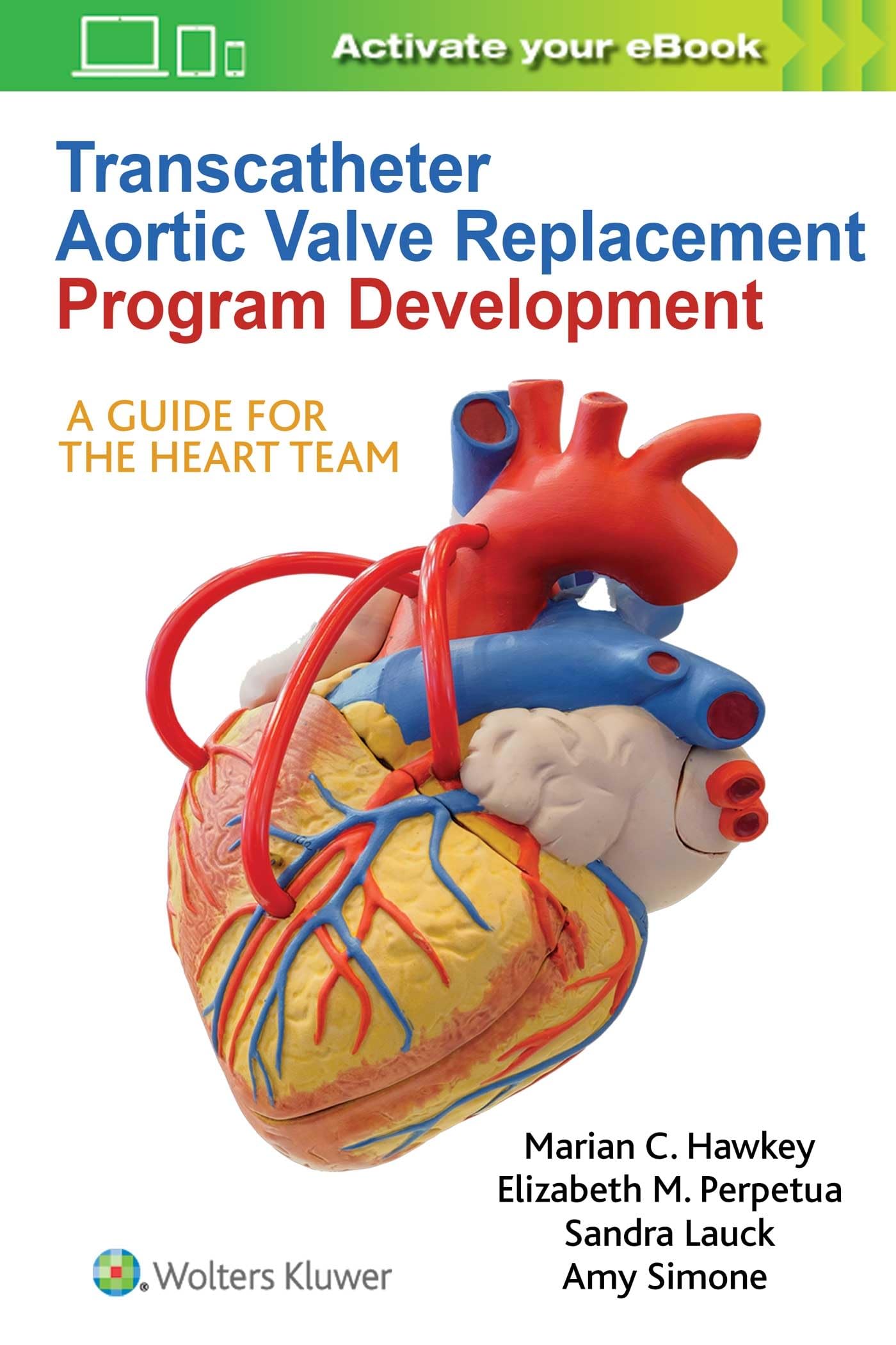 Transcatheter Aortic Valve Replacement Program Development: A Guide For The Heart Team