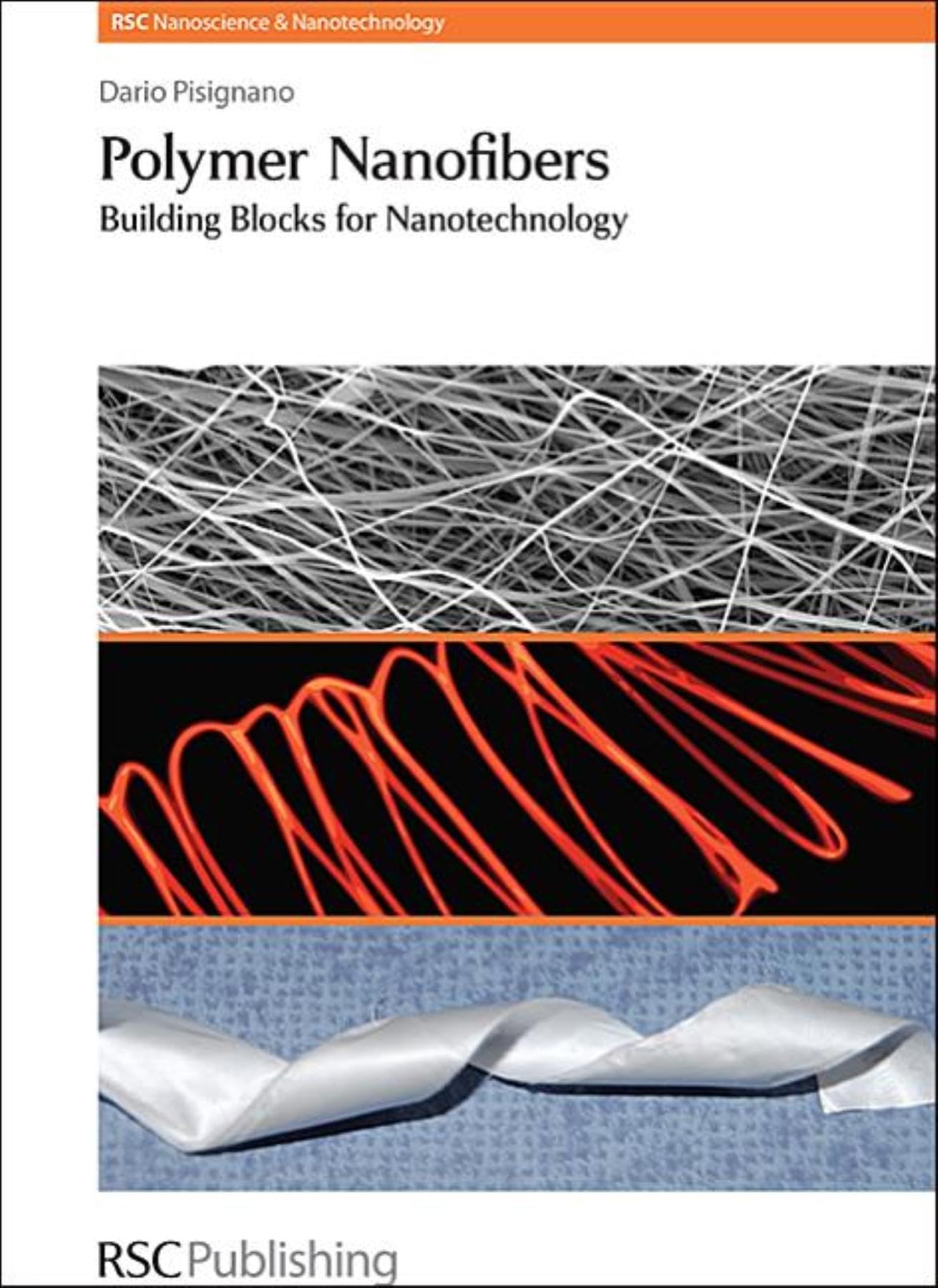 Polymer Nanofibers: Building Blocks for Nanotechnology (Nanoscience, Volume 29)