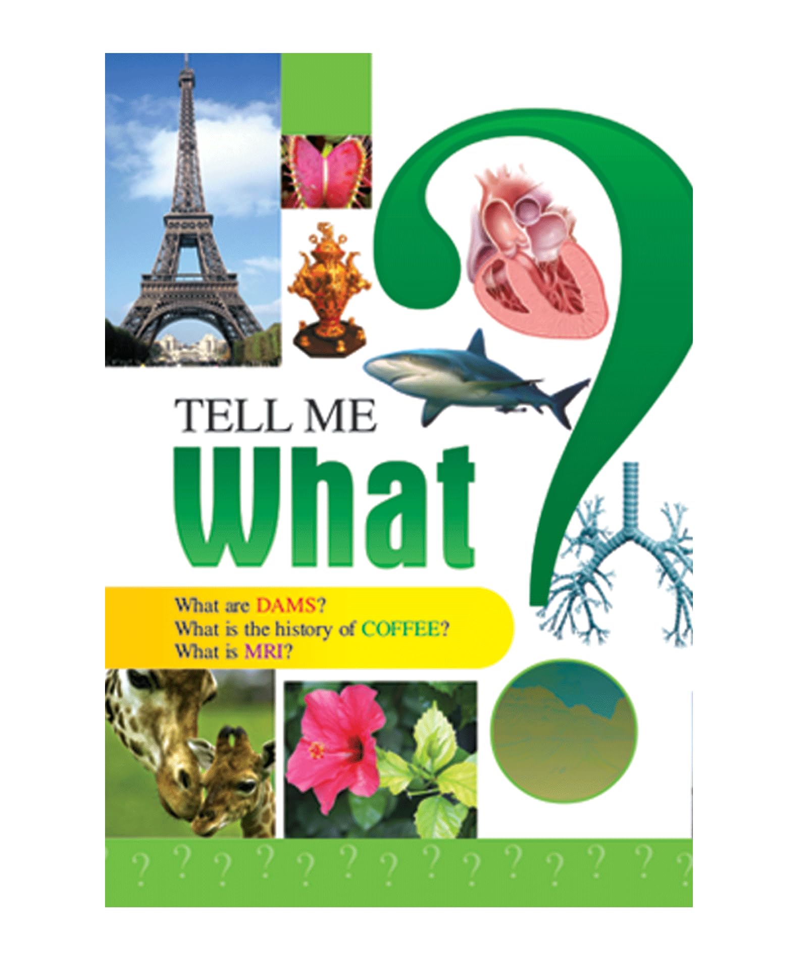GOLDEN MINDS TELL ME WHAT General Knowledge Book for Kids  Learn with Fun Facts, Trivia & Engaging Quizzes | Cool Educational Q