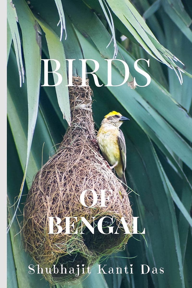 Birds Of Bengal
