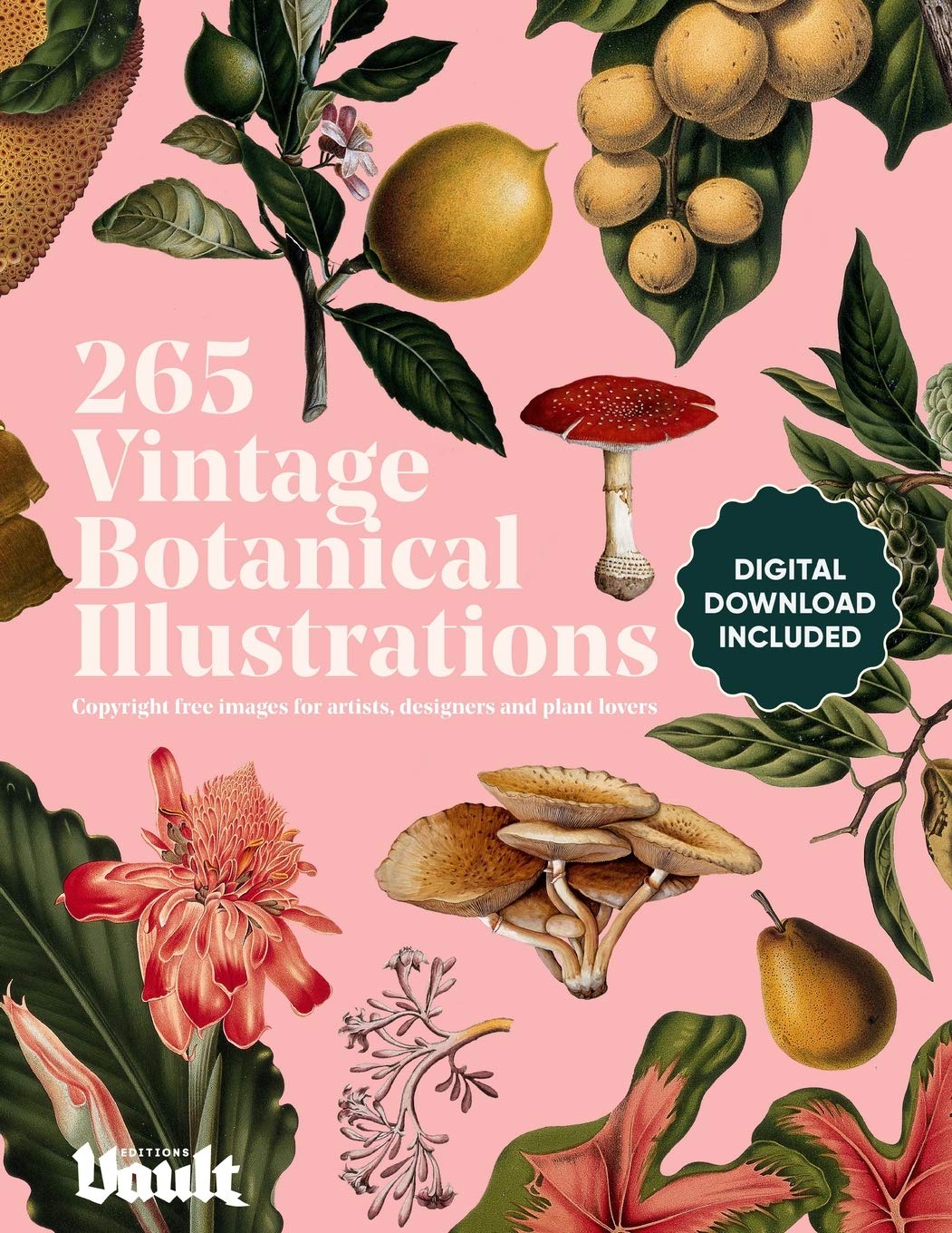 Vintage Botanical Illustration: CopyrightFree Images for Artists, Designers and Plant Lovers