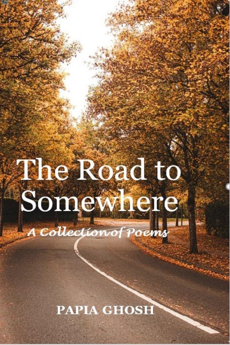 The Road to Somewhere : A Collection of Poems