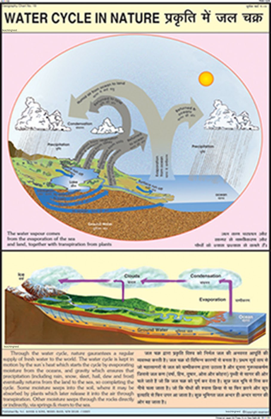 Gcs06 | Water Cycle In Nature Chart (50X75Cm) [Wall Chart] Teachingnest [Wall Chart] Teachingnest